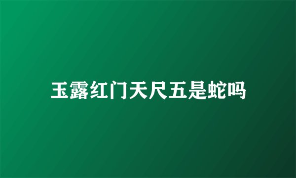 玉露红门天尺五是蛇吗