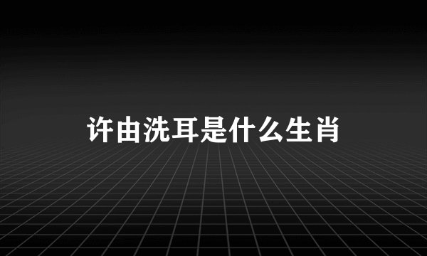 许由洗耳是什么生肖