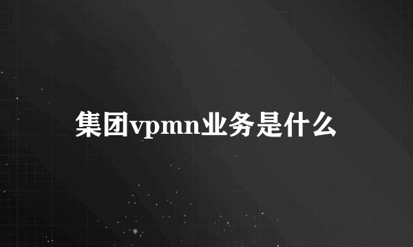 集团vpmn业务是什么