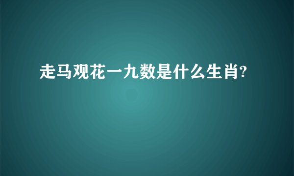 走马观花一九数是什么生肖?