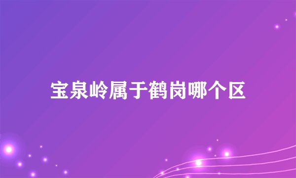 宝泉岭属于鹤岗哪个区