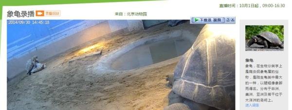 百度动物园怎么发弹幕