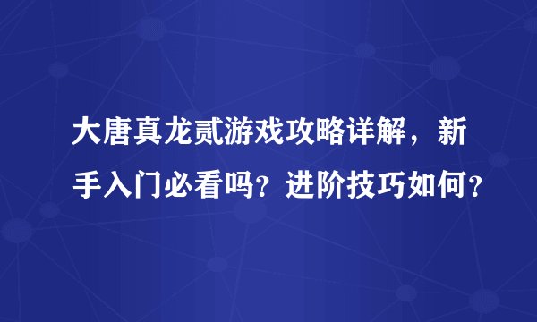 大唐真龙贰游戏攻略详解，新手入门必看吗？进阶技巧如何？