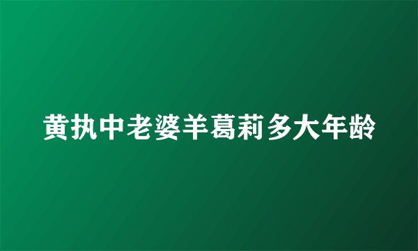 黄执中老婆羊葛莉多大年龄