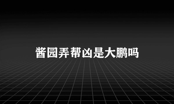酱园弄帮凶是大鹏吗