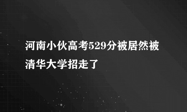 河南小伙高考529分被居然被清华大学招走了