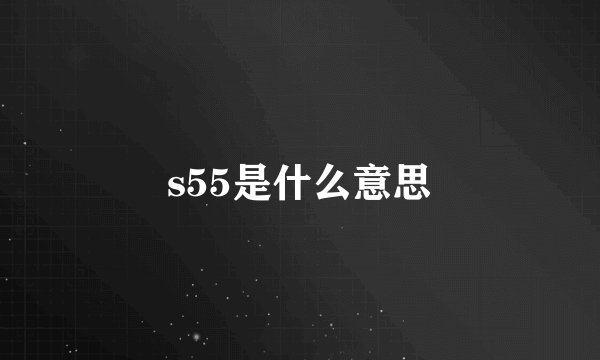 s55是什么意思