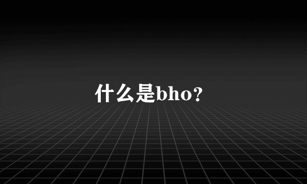 什么是bho？