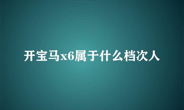 开宝马x6属于什么档次人
