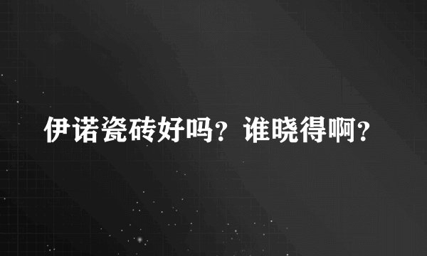 伊诺瓷砖好吗？谁晓得啊？