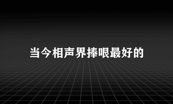 当今相声界捧哏最好的