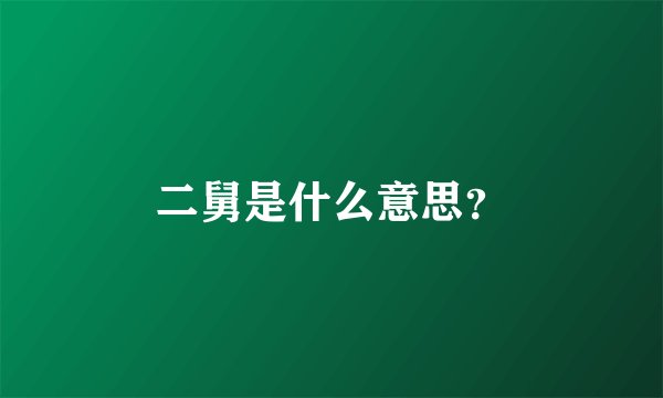 二舅是什么意思？