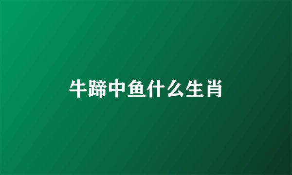 牛蹄中鱼什么生肖