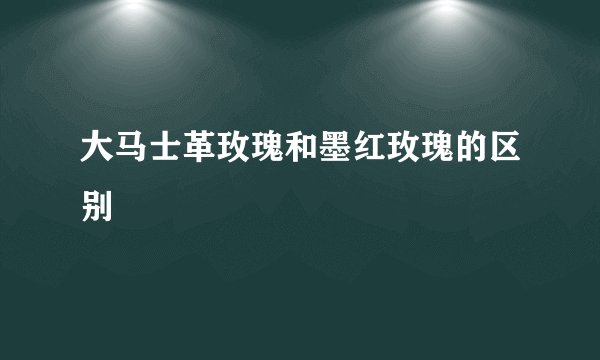 大马士革玫瑰和墨红玫瑰的区别
