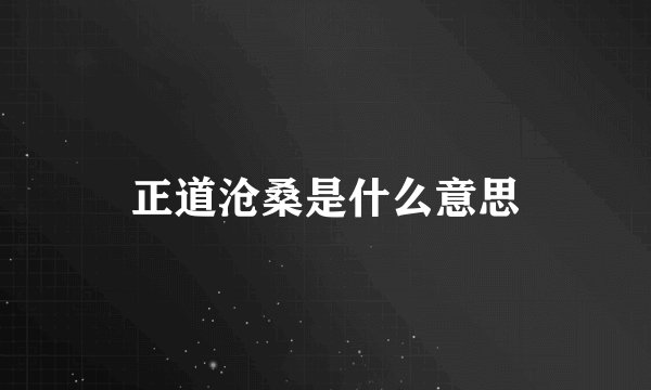 正道沧桑是什么意思