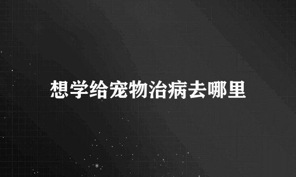 想学给宠物治病去哪里