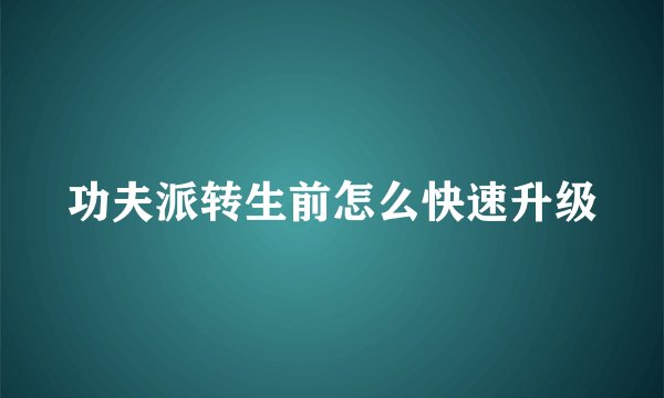 功夫派转生前怎么快速升级