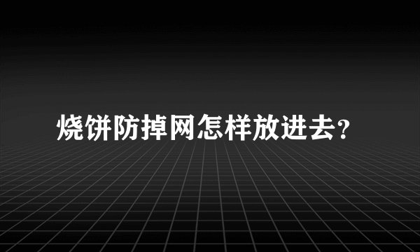 烧饼防掉网怎样放进去？