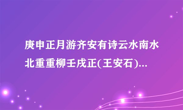 庚申正月游齐安有诗云水南水北重重柳壬戌正(王安石)拼音版、注音及读音