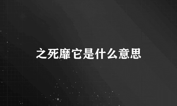 之死靡它是什么意思