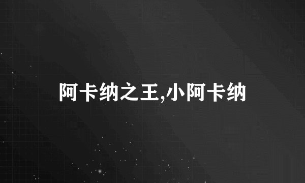 阿卡纳之王,小阿卡纳