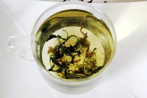 野生蒲公英茶喝了有什么功效与作用