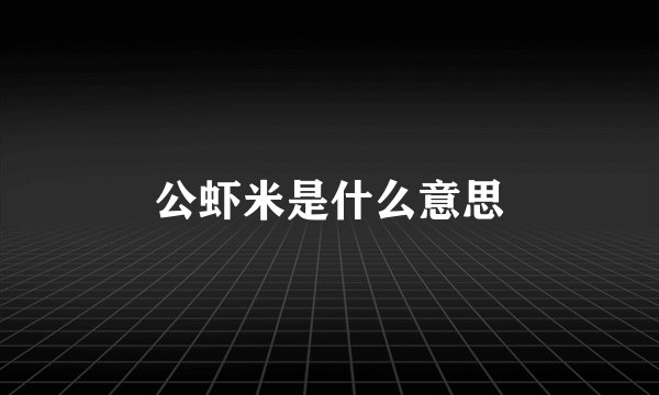 公虾米是什么意思