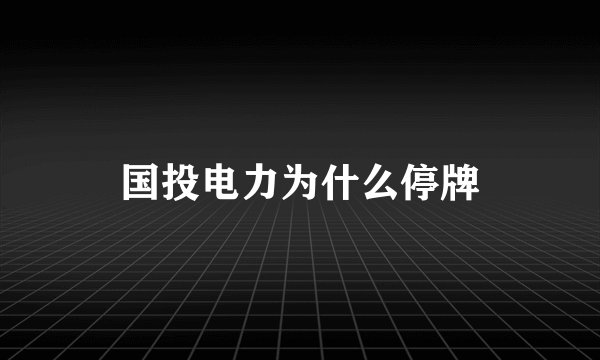 国投电力为什么停牌