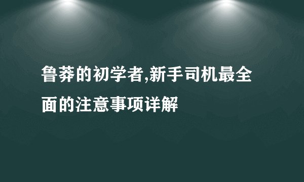鲁莽的初学者,新手司机最全面的注意事项详解