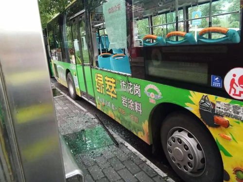 山东15岁少年坐公交一路玩到上海，家长为什么能如此“心大”？