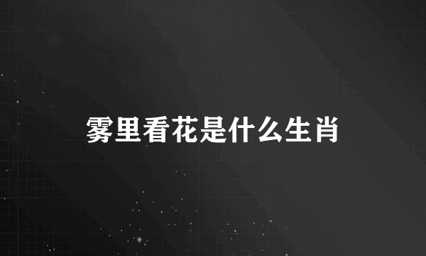 雾里看花是什么生肖