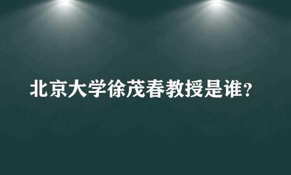 北京大学徐茂春教授是谁？