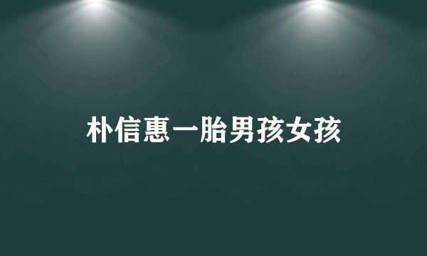 朴信惠一胎男孩女孩