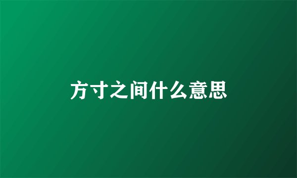方寸之间什么意思
