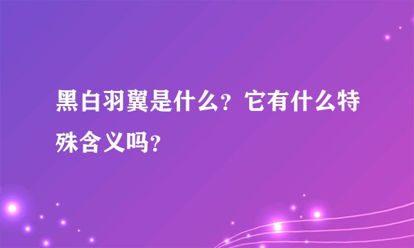 黑白羽翼是什么？它有什么特殊含义吗？