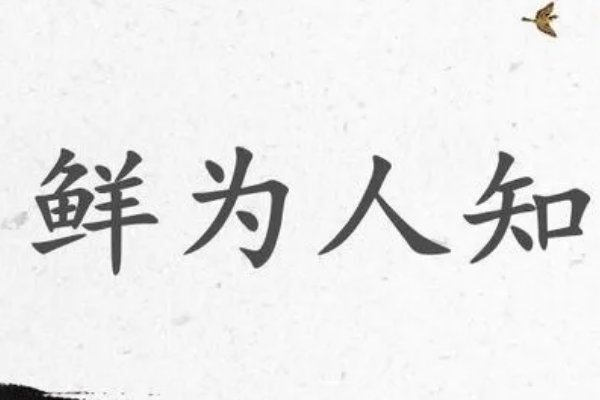 鲜为人知词语解释