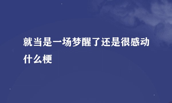 就当是一场梦醒了还是很感动什么梗