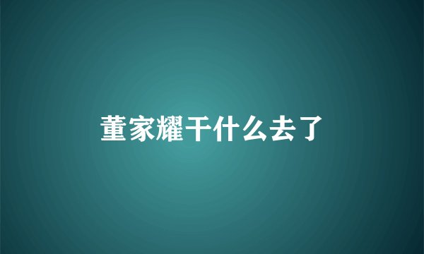 董家耀干什么去了