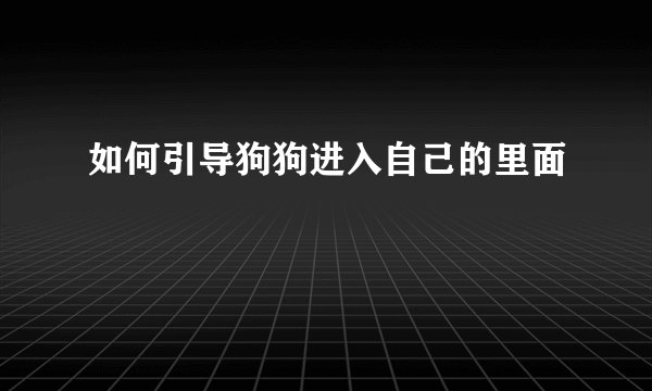 如何引导狗狗进入自己的里面