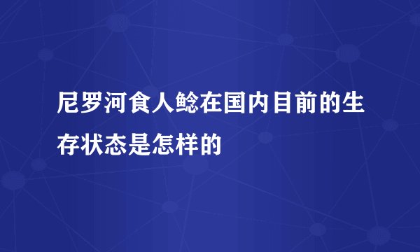 尼罗河食人鲶在国内目前的生存状态是怎样的