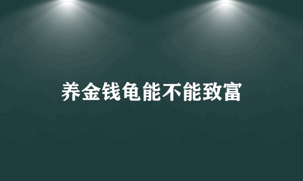 养金钱龟能不能致富
