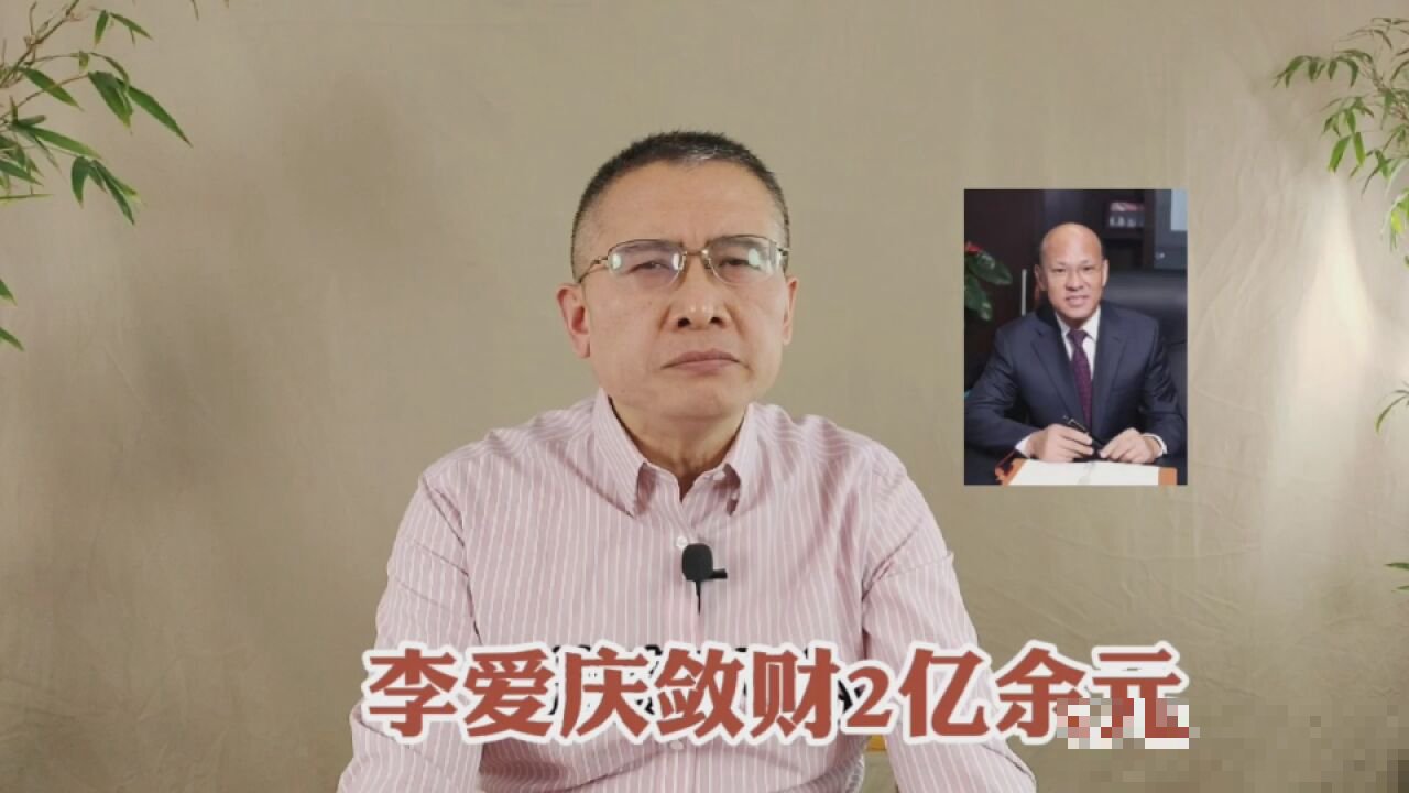 李庆爱投资的电视剧