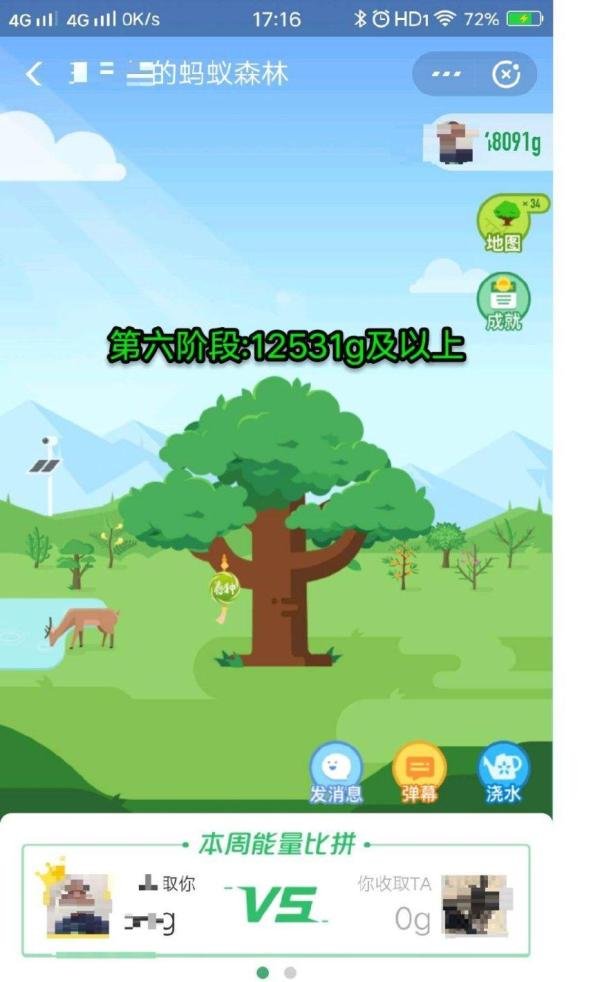 蚂蚁森林小树是如何长大的6个阶段图示