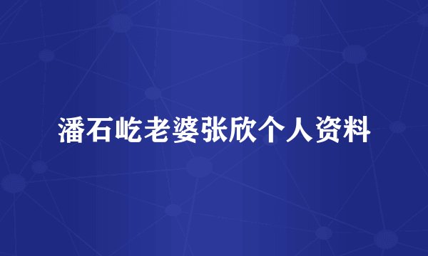 潘石屹老婆张欣个人资料