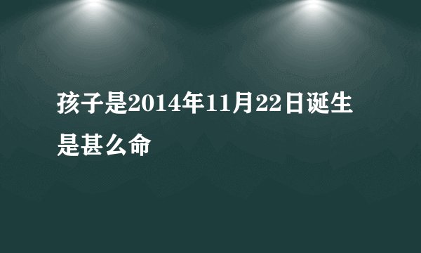 孩子是2014年11月22日诞生是甚么命