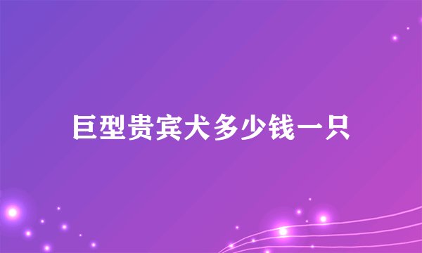 巨型贵宾犬多少钱一只