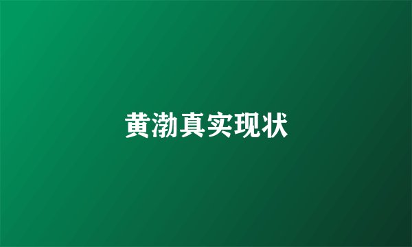 黄渤真实现状