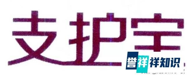 假如支付圈多了个“支护宝”，支付宝会怎样？