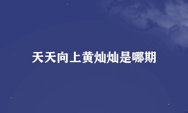 天天向上黄灿灿是哪期