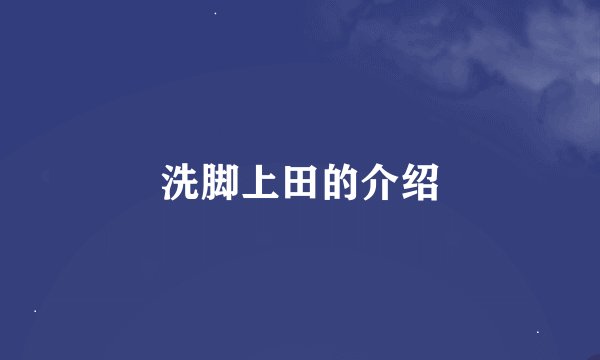 洗脚上田的介绍
